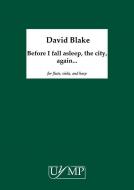 Before I fall asleep, the city, again? 