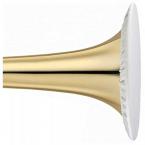 Aerosol Protector für Tenorhorn 