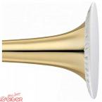 Aerosol Protector für Bariton 