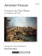 Concerto for 2 Flutes in A Minor RV 522 