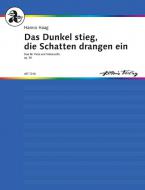 Das Dunkel stieg, die Schatten drangen ein op. 30 Download