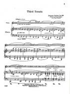 Sonata in D Minor, Op. 108 