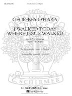 I Walked Today Where Jesus Walked 