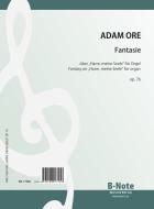 Fantasie über 'Harre, meine Seele' 