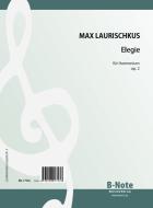 Elegie für Harmonium op.2 