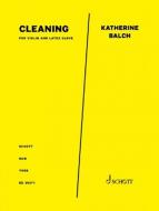 Cleaning Standard