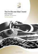 You're the one that I want 