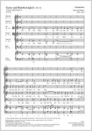 Gutes und Barmherzigkeit SWV 95 