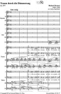 Traum durch die Dämmerung op. 29/1 