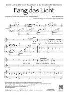 Fang das Licht 
