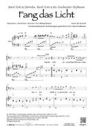 Fang das Licht 