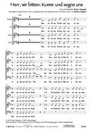 Herr, wir bitten: Komm und segne uns 