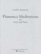 Flamenco Meditations 