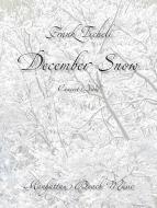 December Snow 