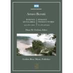 Romanza sin palabras 