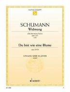 Widmung op. 25/1 - Du bist wie eine Blume op. 24 Standard