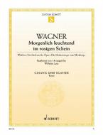 Morgenlich leuchtend im rosigen Schein Standard