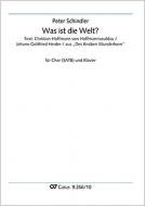 Was ist die Welt? Standard