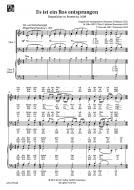 Es ist ein Ros entsprungen 