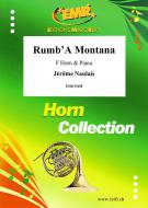 Rumb'A Montana Standard