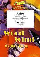 Ariba Download