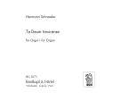 Te Deum Trevirense 