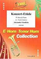 Konzert-Etüde Download