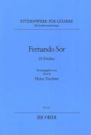 22 ausgewählte Etüden mit Studienanleitungen 