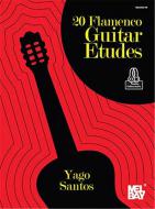 20 Flamenco Guitar Etudes 