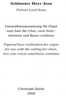 Orgelbegleitung zu 'Schönster Herr Jesu' 