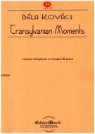 Transylvanian Moments 
