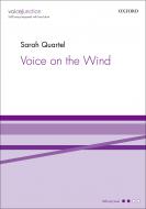 Voice on the Wind 