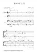 Hark, hark, the lark 