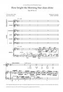 How bright the Morning Star does shine 