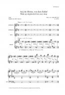 Auf, ihr Hirten, von dem Schlaf 