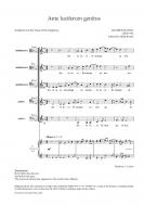 Ante luciferum genitus 