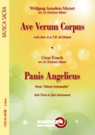 Ave Verum Corpus - Panis Angelicus 