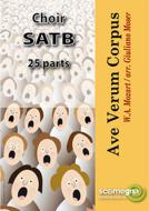 Ave Verum Corpus 