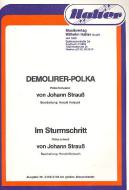 Im Sturmschritt 