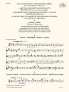 Der Mikrokosmos des Ensemblespiels für Streicher 3 