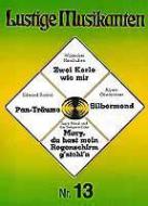 Lustige Musikanten 13 