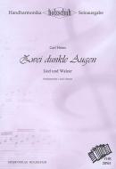 Zwei dunkle Augen 