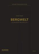 Bergwelt 