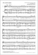 Ave verum corpus op. 2,1 Standard