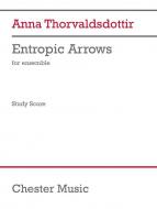 Entropic Arrows 