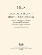 Beneath the Starry Sky 