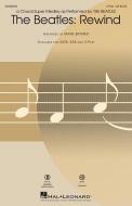 The Beatles: Rewind Standard
