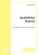Sleeping waves 