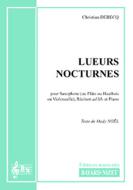 Lueurs nocturnes 