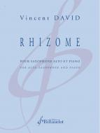 Rhizome 